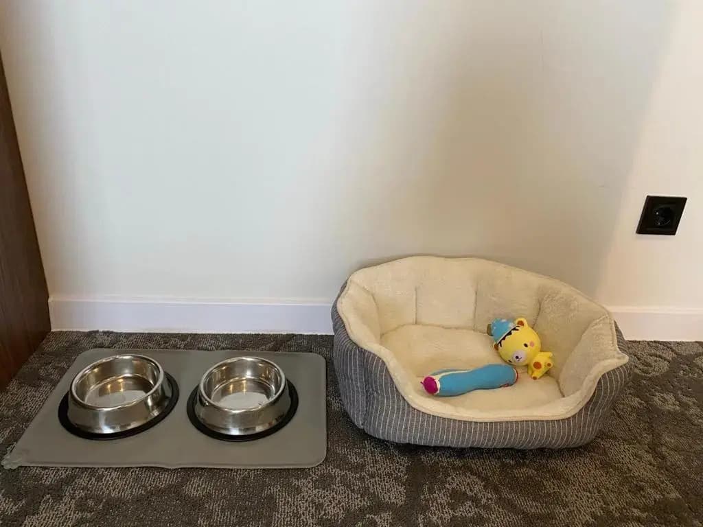 Hotel photo 48
