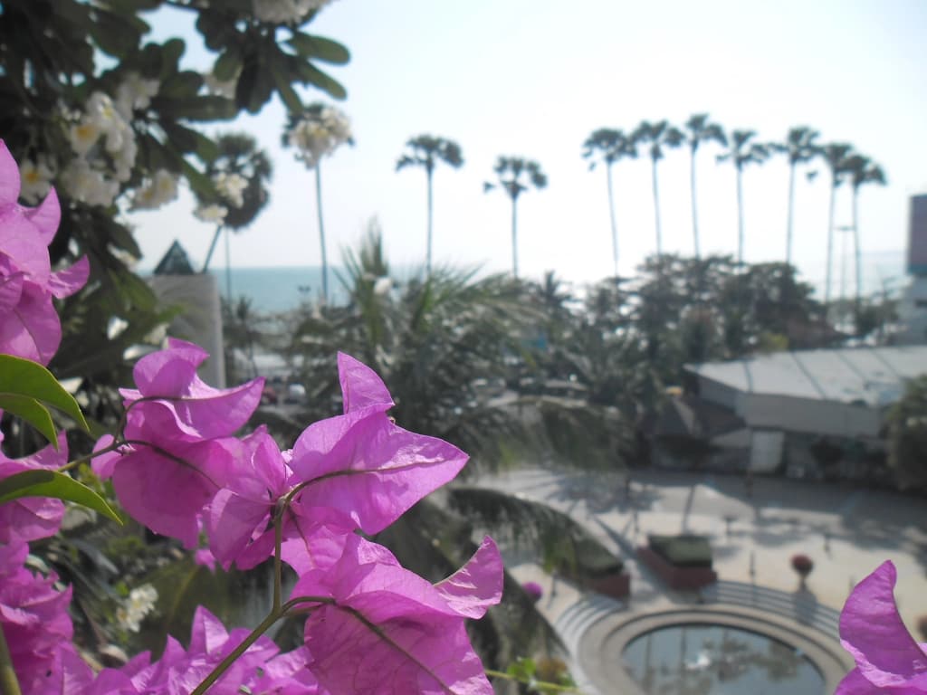 Hotel photo 42