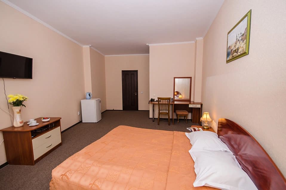 Standard Double room full double bed