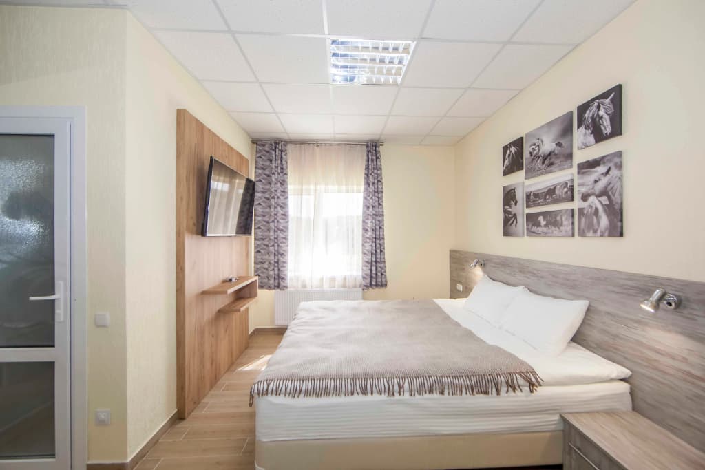 Standard Double room full double bed