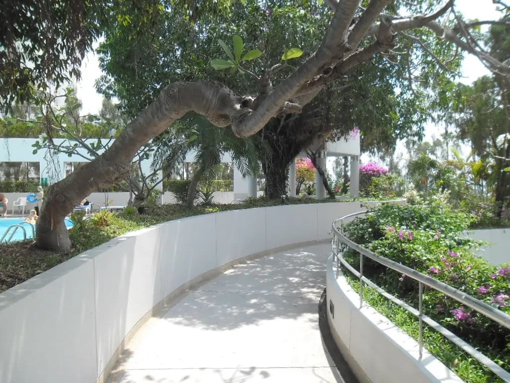 Hotel photo 33