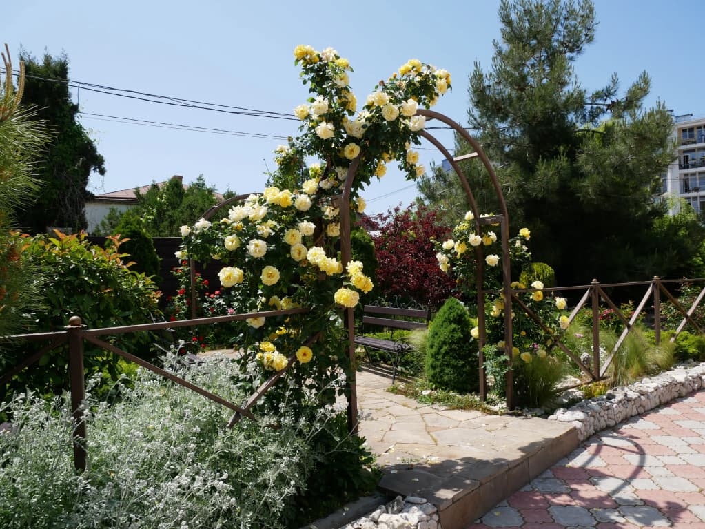 Hotel photo 45