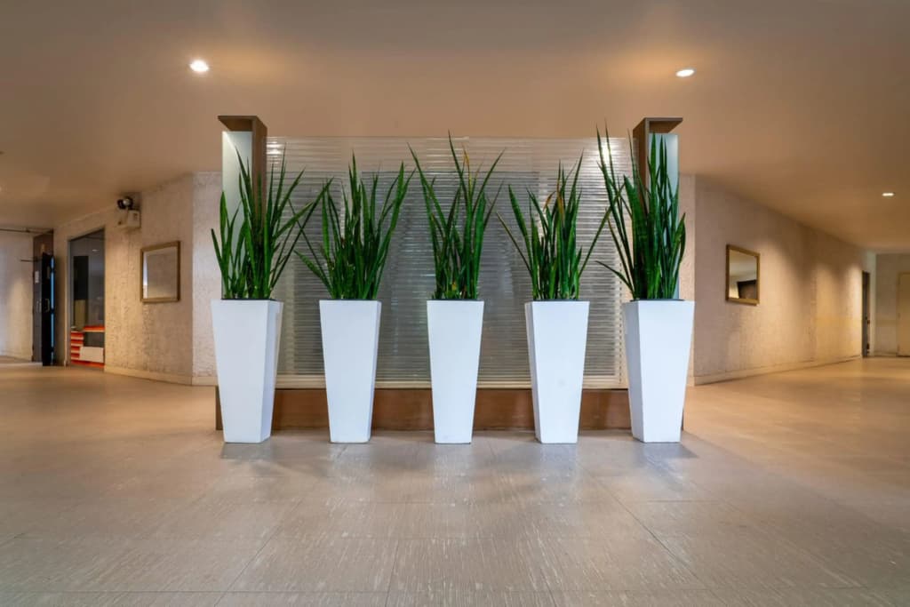 Hotel photo 47