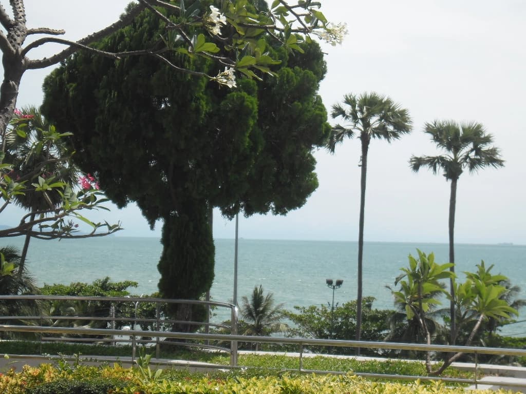 Hotel photo 45