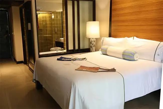 Tropical Sustainability Double room full double bed