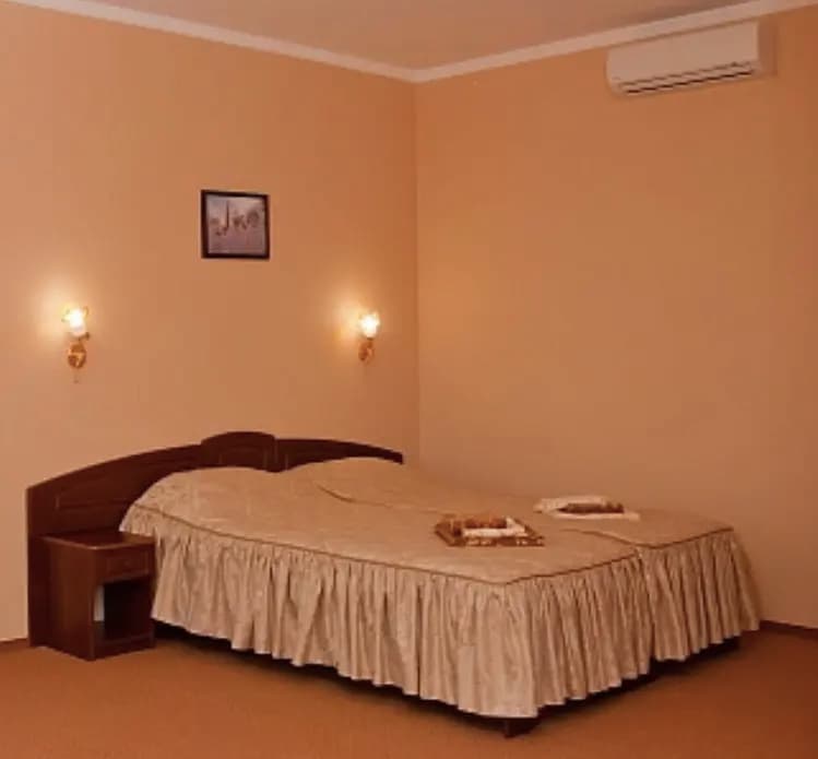 Standard Double room full double bed