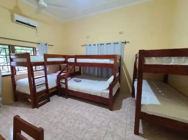 Bed in Dorm