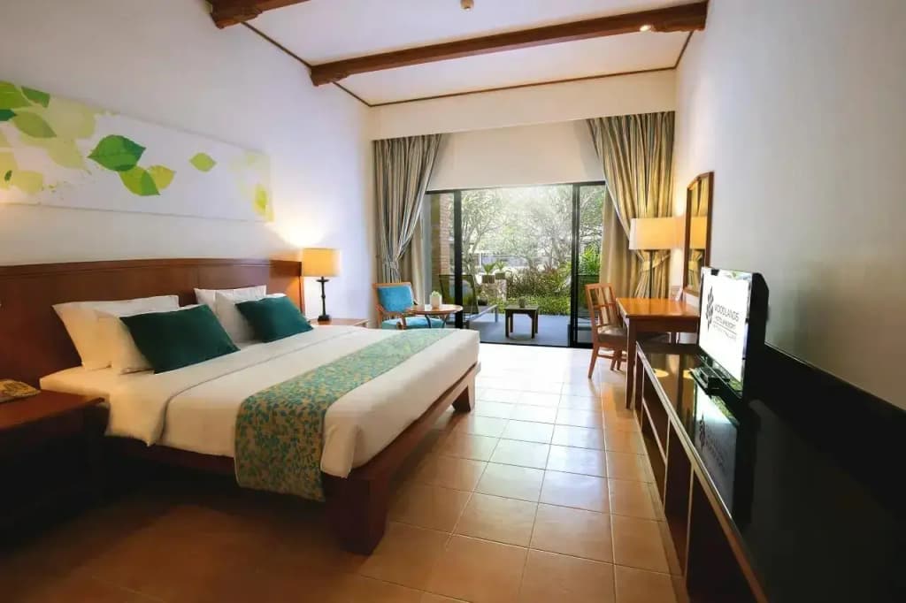 Deluxe Terrace Double room full double bed