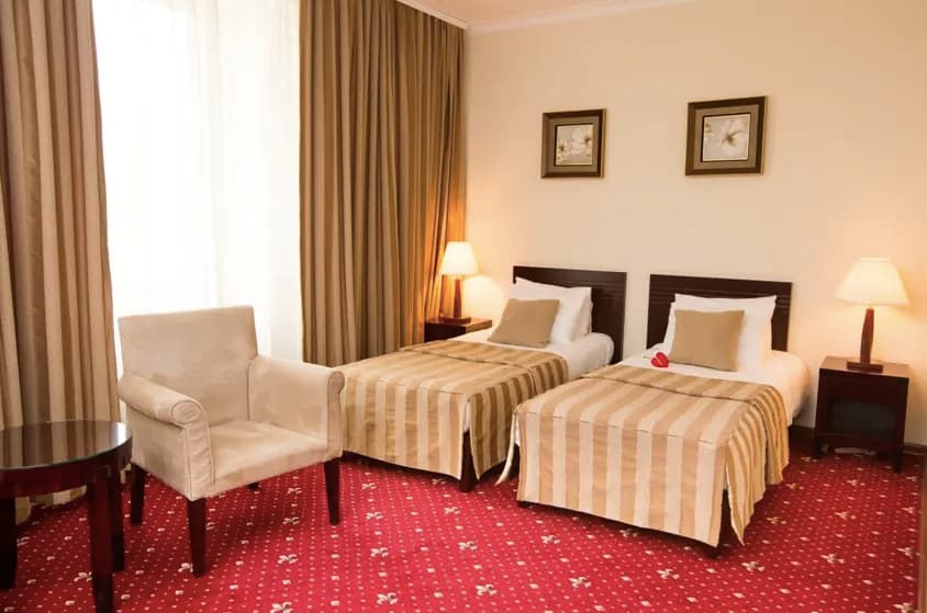 Standard Double room twin beds