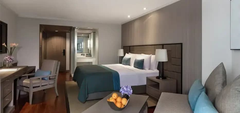 Deluxe Plus Double room with garden view full double bed