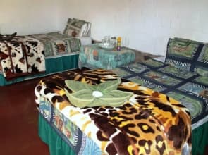 Dimba Safaris
