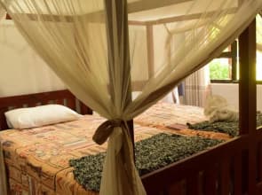 Shoestrings Backpackers & Bar