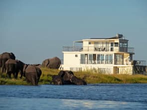 Chobe Princesses By Mantis
