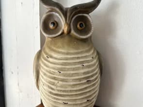 Sleep Owl Jomtien