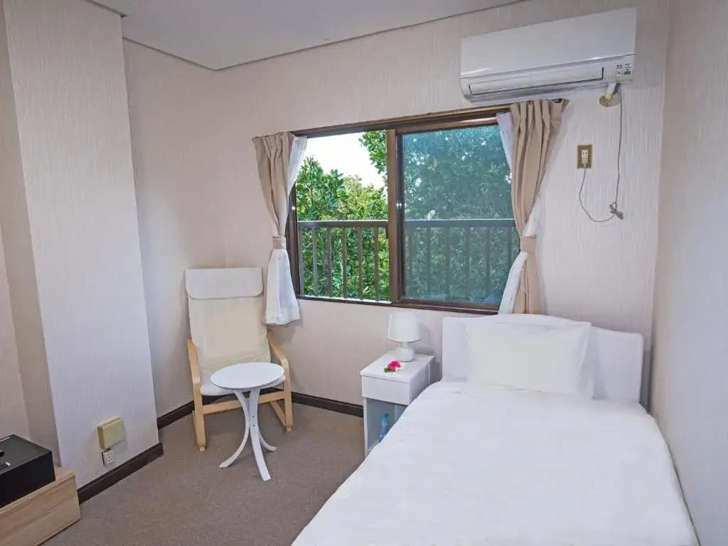 Standard Single room with mountain view