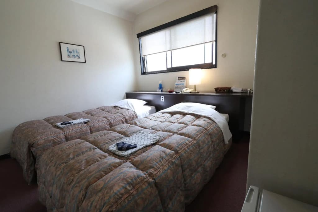 Standard Double room twin beds