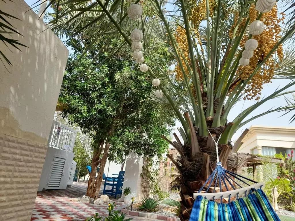 Family Bungalow