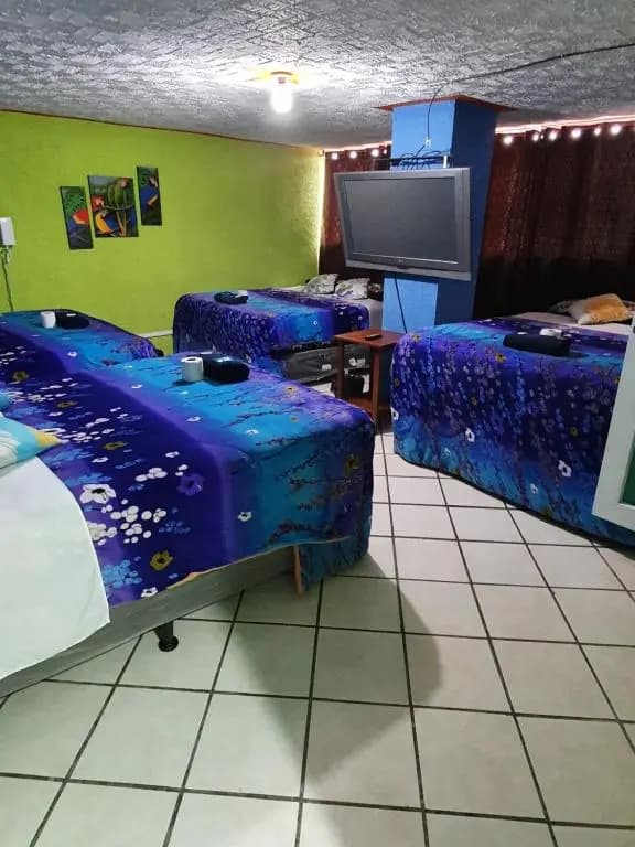 Premium room